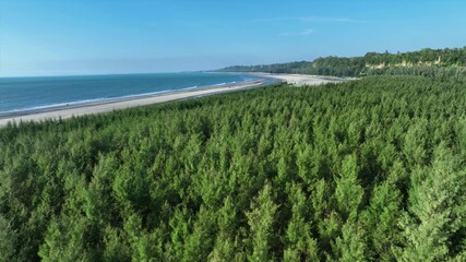 Aerial view of the lush green trees meeting the sandy beach and blue ocean under a clear sky, Cox's Bazar, Chittagong Division, Bangladesh.