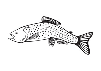 Fototapeta premium Trout Fish Vector Illustration, Black and White Silhouette Design