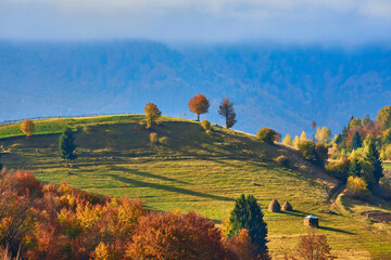 Beautiful autumn in the mountain forest.