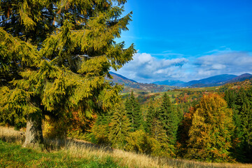 the mountain autumn landscape