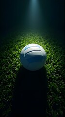 soccer ball on grass