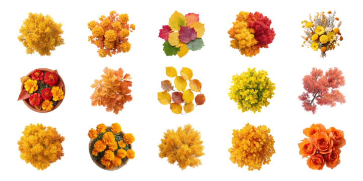 Autumn Foliage And Floral Arrangements Set. Seasonal Nature And Decoration Collection Isolated On Transparent Background