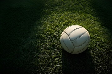 white ball for sport