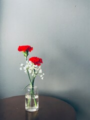 red roses in vase