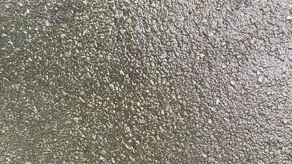 A close-up, high-angle view of a wet asphalt or gravel surface, with water making the rough texture and small stones glisten.