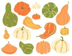 Hand-drawn collection of colorful autumn pumpkins and gourds in various shapes and textures. Seasonal botanical illustration on white background. Perfect for fall decor and harvest design.