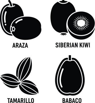 Illustration of four exotic fruits araza siberian kiwi tamarillo and babaco