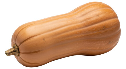 Isolated Butternut Squash
