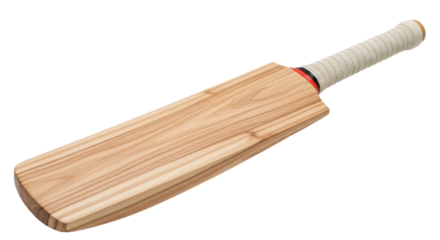 Isolated Cricket Bat