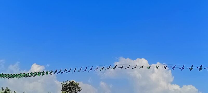 4k Shot video an unique kite resembling a long snake, flying in the countryside in the afternoon, against a bright blue sky, a fun hobby