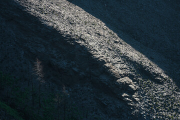 Landscapes devastated by forest fires in Courel Lugo Galicia