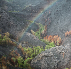 Landscapes devastated by forest fires in Courel Lugo Galicia