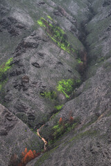 Landscapes devastated by forest fires in Courel Lugo Galicia