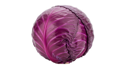 Isolated Purple Cabbage