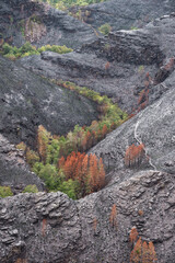Landscapes devastated by forest fires in Courel Lugo Galicia