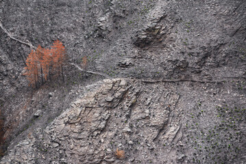 Landscapes devastated by forest fires in Courel Lugo Galicia