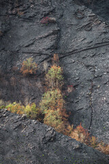 Landscapes devastated by forest fires in Courel Lugo Galicia