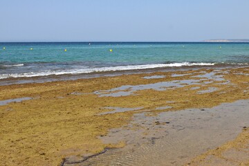 Moss-covered coastal rocks at low tide on a sunny beach in Andalusia. Spain