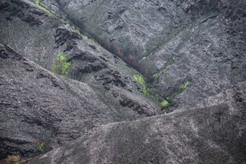 Landscapes devastated by forest fires in Courel Lugo Galicia