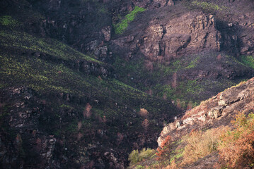 Landscapes devastated by forest fires in Courel Lugo Galicia