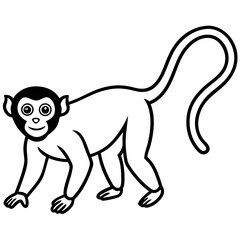 Spider Monkey Sketch line art Vector