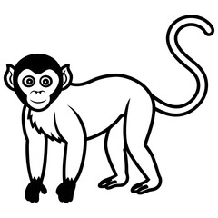 Spider Monkey Sketch line art Vector