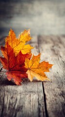 Obraz premium Autumn Leaves Resting on Rustic Wooden Surface With Warm Colors Reflecting Seasonal Change