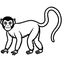 Spider Monkey Sketch line art Vector