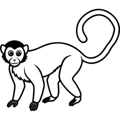 Spider Monkey Sketch line art Vector