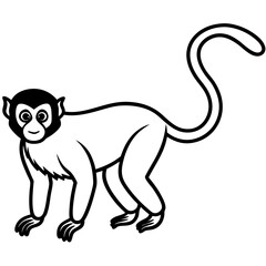 Spider Monkey Sketch line art Vector