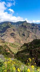 Mountainous landscape with wildflowers