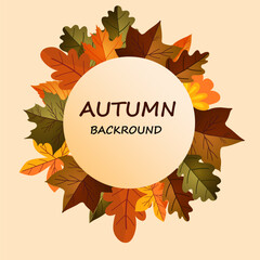 Autumn frame with leaves and branches of rose hips on a transparent background. Vector illustration
