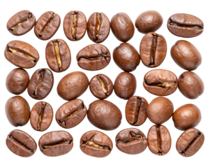 A collection of roasted coffee beans displaying various shapes and textures, highlighting their rich, brown color.