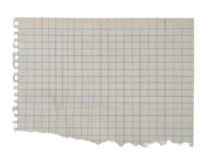 A sheet of graph paper with a grid pattern, featuring light gray lines and a torn edge.