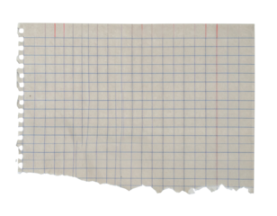 A sheet of graph paper with a grid pattern, featuring light gray lines and a torn edge.