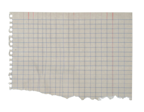 A sheet of graph paper with a grid pattern, featuring light gray lines and a torn edge.