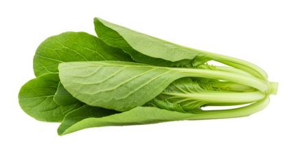 Fresh bok choy green vegetable healthy eating plant based diet leafy greens asian cuisine raw ingredient on transparent background