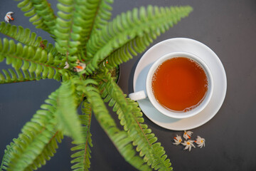 High angle view of apple tea at lunch