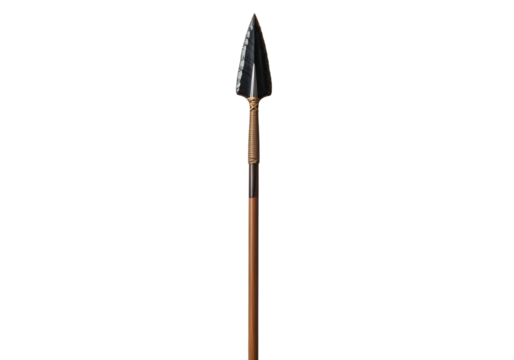 A pointed, dark flint spearhead mounted on a light brown wooden shaft.