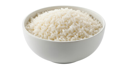 Isolated Bowl of Cooked Rice
