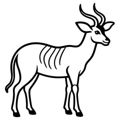 White Line Saola Drawing