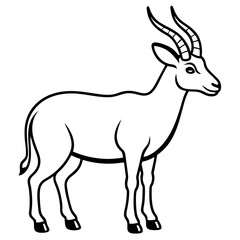 White Line Saola Drawing