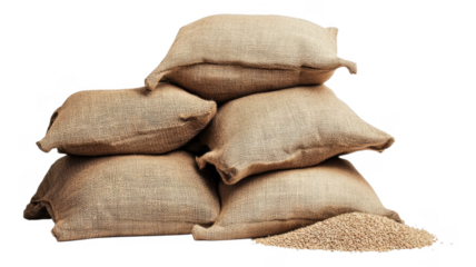 Sacks of grain stacked on each other in transparent background with scattered grains