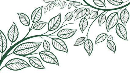 Fototapeta premium Illustration of green branches with leaves and visible leaf veins on a white background art design