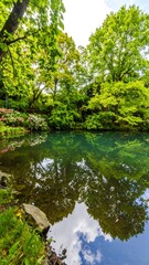 Fototapeta premium Serene pond in a lush park