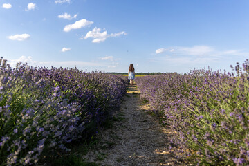 Young girl walking through a lavender field