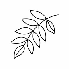 Neem Leaf Branch Outline – Ultra Clean Vector Line Art