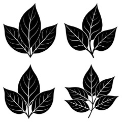 Fototapeta premium Four black leaf clusters with detailed veins arranged symmetrically on a white background art design