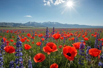 Obraz premium A colorful meadow of bright red poppies and blue flax blossoms beneath a sunny, cloudless sky, set against a backdrop of snowy peaks. Beautiful spring scenery.