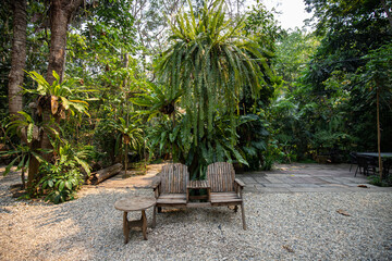 Obraz premium A green world in a relaxing corner